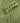 Army Green - Pure Silk - by Kiilerich