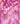 Hold Masken - Pure Silk