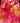 Brand I Byen - Single & Fabulous