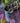 City Nights – Alpaka/Seide