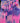 Power Of Purples – Hering