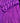 Purple Pop - Hering