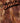 The Desire For Brown - Silje