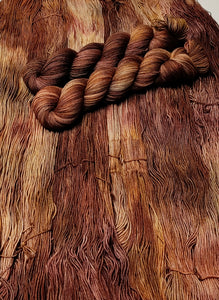 The Desire For Brown - Silje