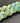 Turquoise Delight  - Alin Silk - by Kiilerich