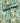 Turquoise Delight - Suri Silk Fluf - by Kiilerich